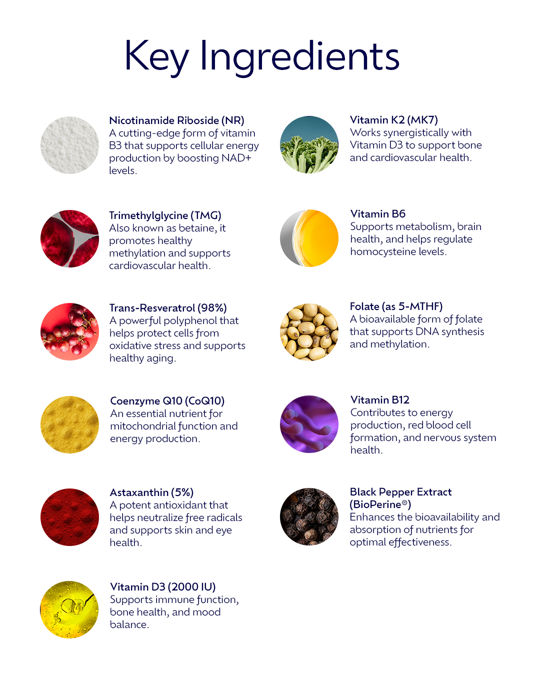 Niata NAD⁺ Day Formula