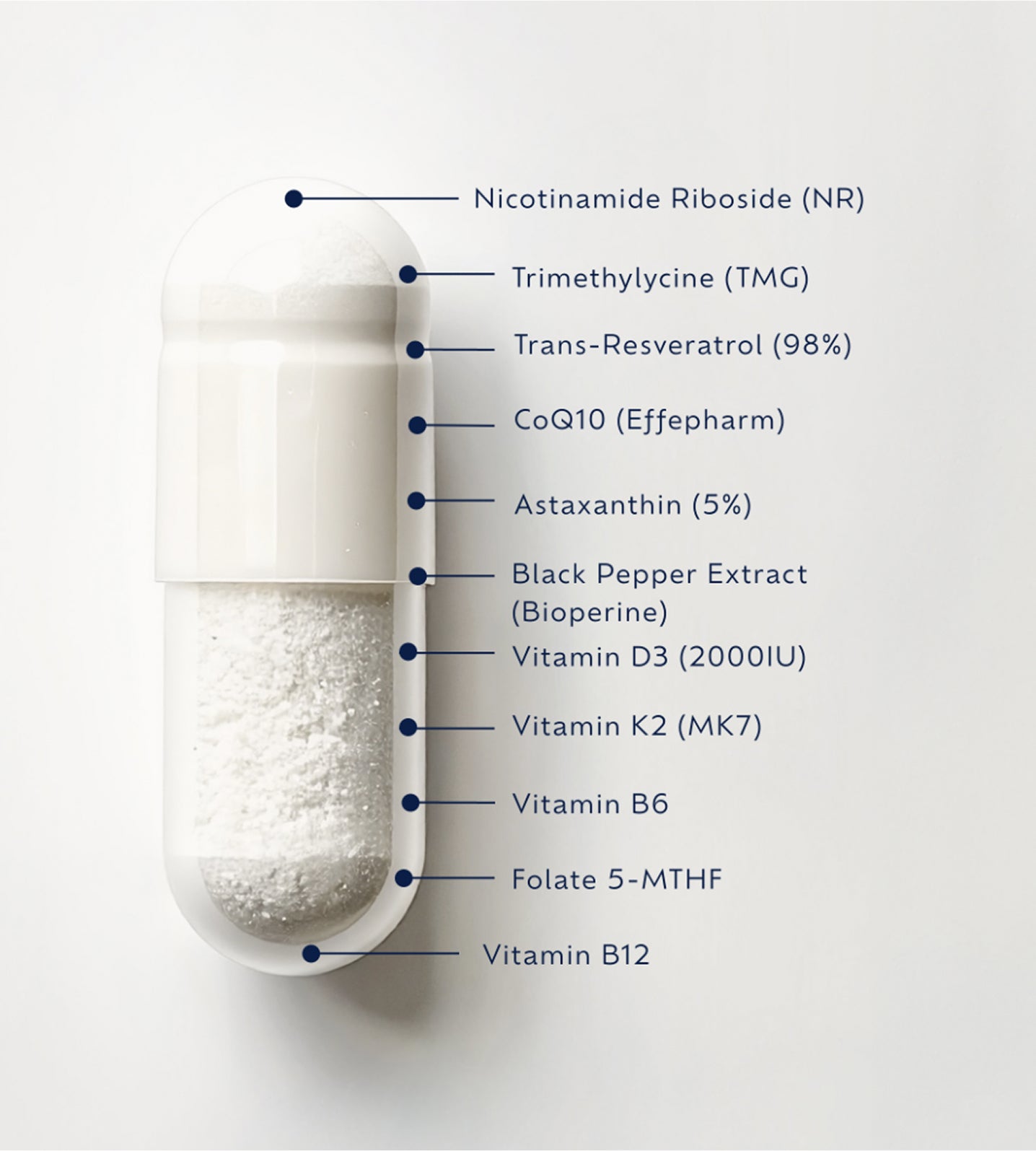 Niata NAD⁺ Day Formula