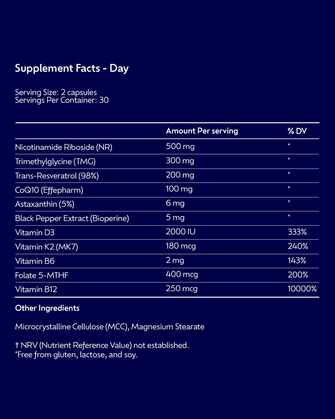 Niata Day en Night combi bundel