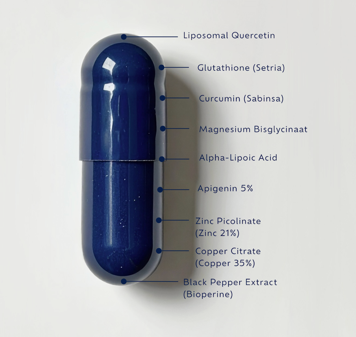 Niata Day en Night combi bundel